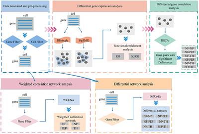 Frontiers A Novel Method To Identify The Differences Between Two